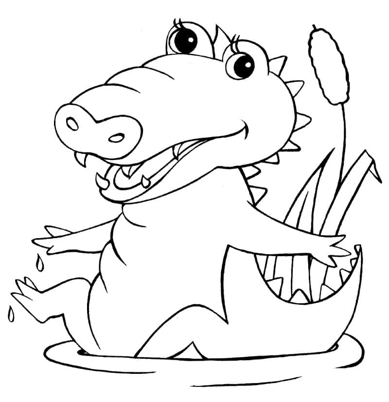 Free printable Crocodile coloring page #179007 from Animals collection