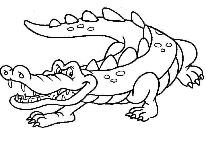 Free printable Crocodile coloring page #179009 from Animals collection