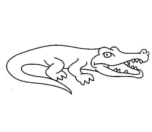 Free printable Crocodile coloring page #179011 from Animals collection