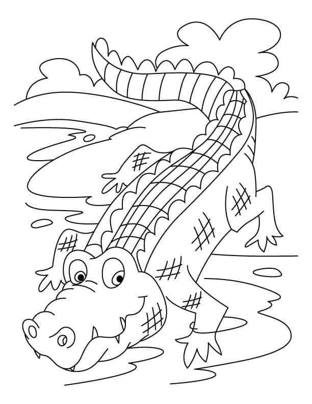 Free printable Crocodile coloring page #179016 from Animals collection