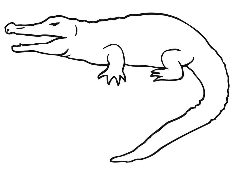 Free printable Crocodile coloring page #179019 from Animals collection