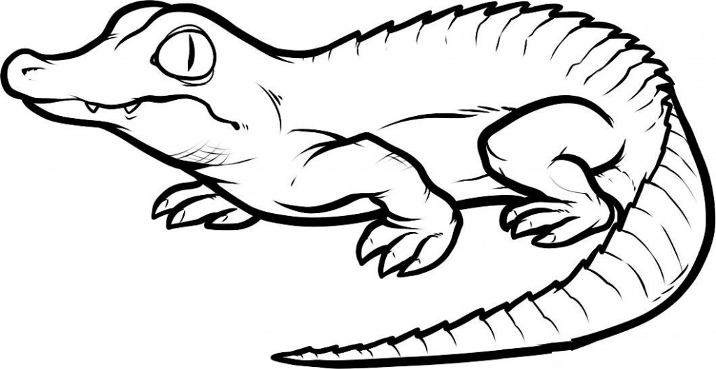 Coloring page: Crocodile (Animals) #4812 - Free Printable Coloring Pages