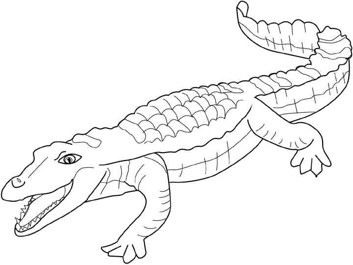 Coloring page: Crocodile (Animals) #4829 - Free Printable Coloring Pages