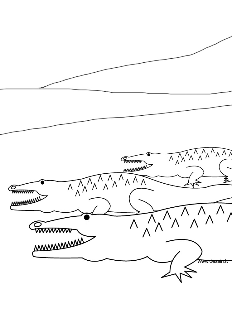 Coloring page: Crocodile (Animals) #4834 - Free Printable Coloring Pages