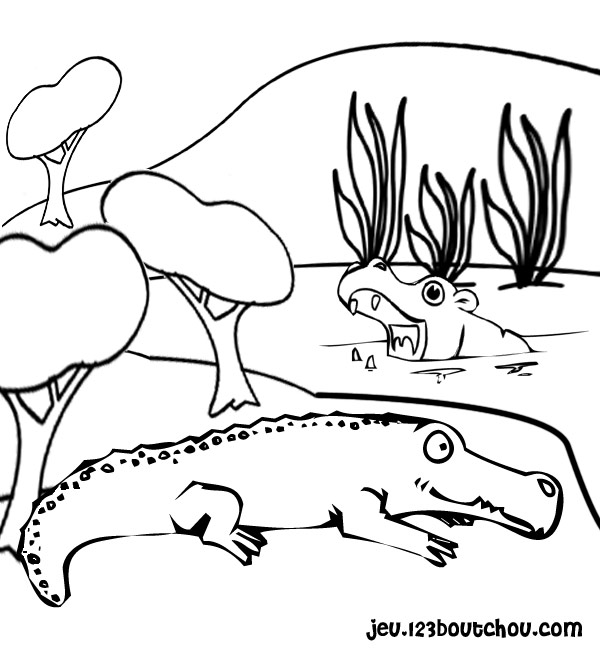 Coloring page: Crocodile (Animals) #4837 - Printable coloring pages