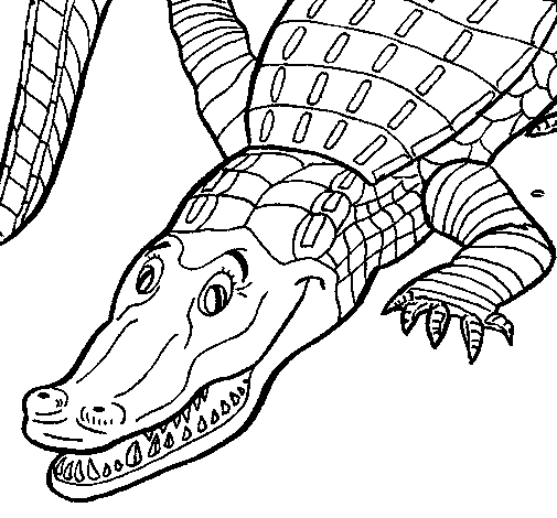 Coloring page: Crocodile (Animals) #4844 - Printable coloring pages