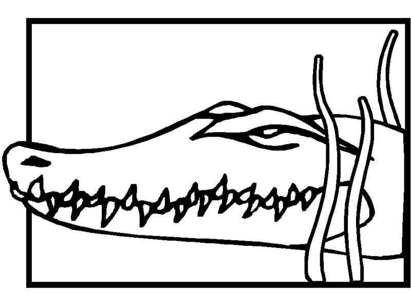Coloring page: Crocodile (Animals) #4874 - Free Printable Coloring Pages