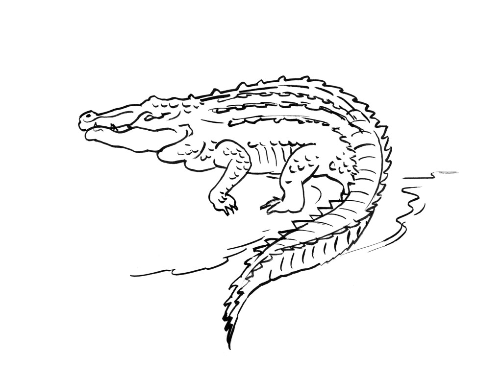 Coloring page: Crocodile (Animals) #4909 - Printable coloring pages