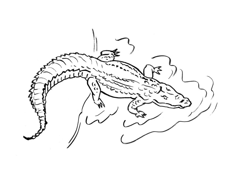 Coloring page: Crocodile (Animals) #4926 - Free Printable Coloring Pages