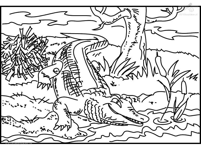Coloring page: Crocodile (Animals) #4942 - Free Printable Coloring Pages