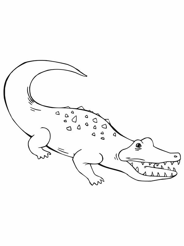 Coloring page: Crocodile (Animals) #4961 - Printable coloring pages