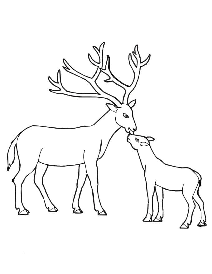 Free printable Deer coloring page #191048 from Animals collection