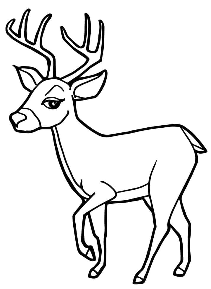 Free printable Deer coloring page #191074 from Animals collection