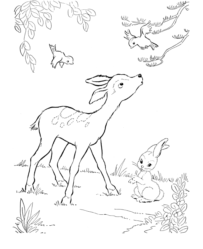 Coloring page: Deer (Animals) #2574 - Printable coloring pages