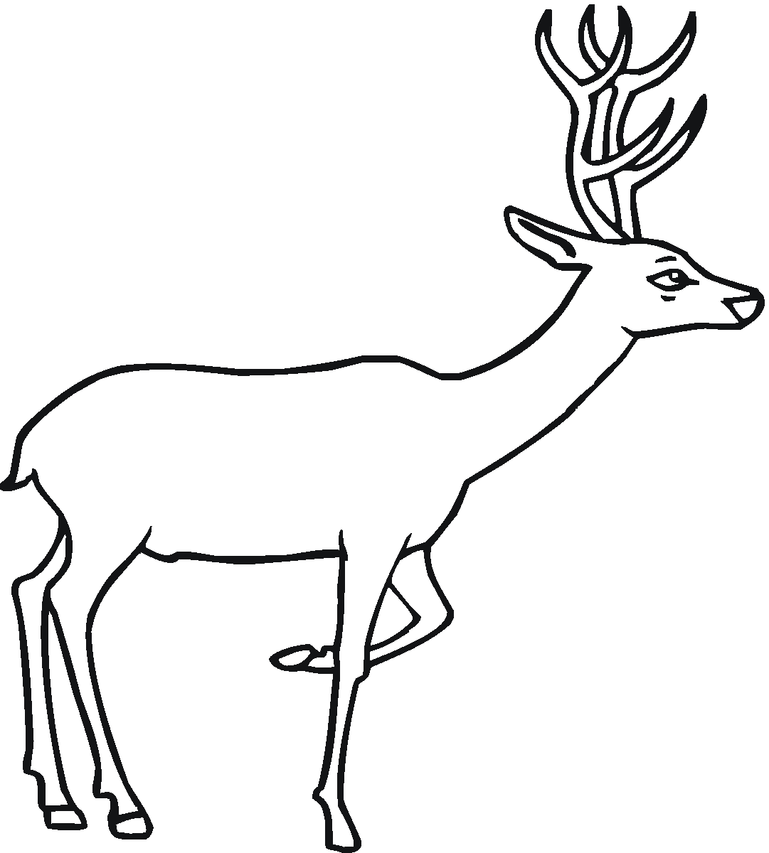 Coloring page: Deer (Animals) #2589 - Free Printable Coloring Pages