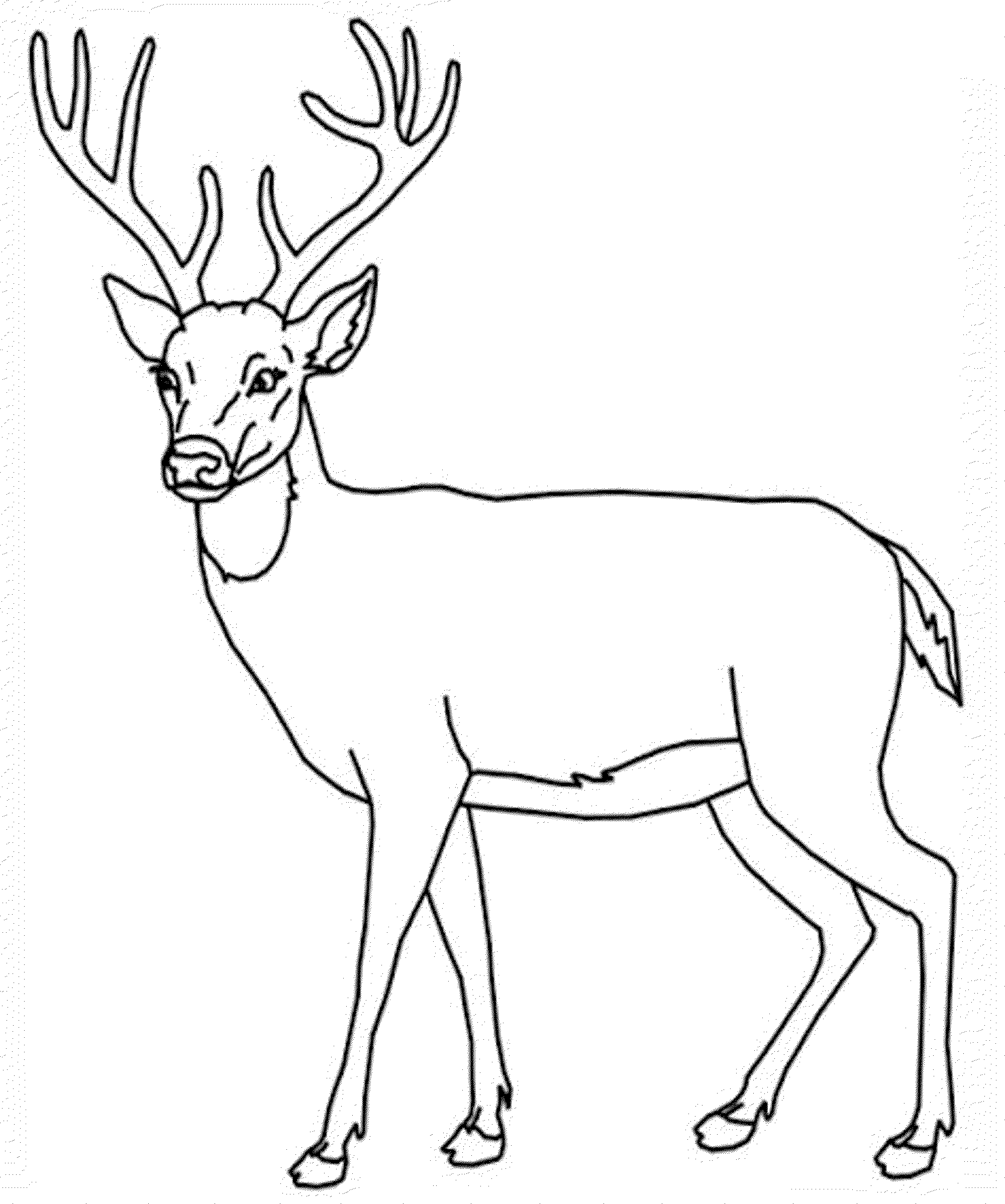 Coloring page: Deer (Animals) #2594 - Printable coloring pages