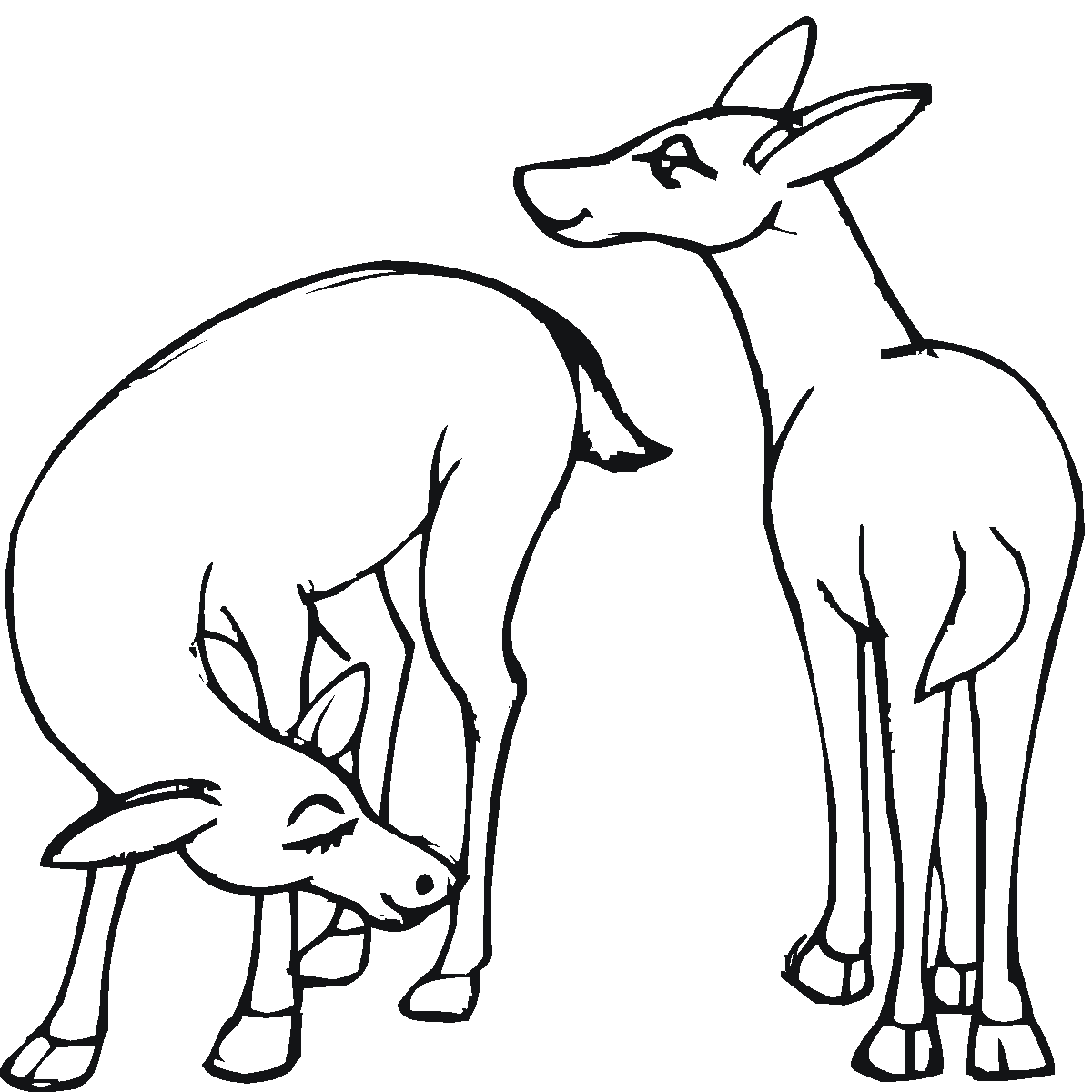 Coloring page: Deer (Animals) #2596 - Printable coloring pages