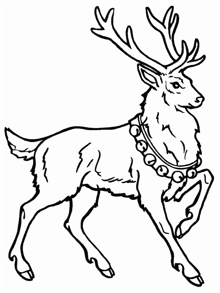 Coloring page: Deer (Animals) #2597 - Free Printable Coloring Pages