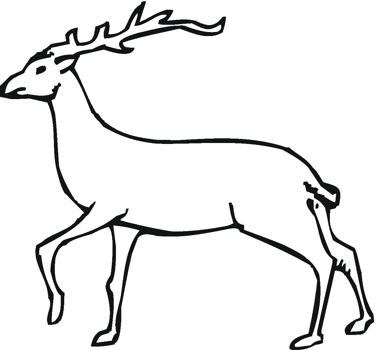 Coloring page: Deer (Animals) #2602 - Free Printable Coloring Pages