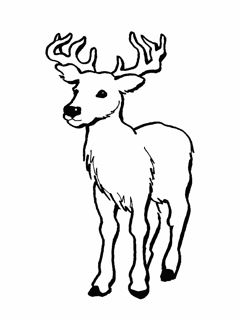 Coloring page: Deer (Animals) #2613 - Free Printable Coloring Pages