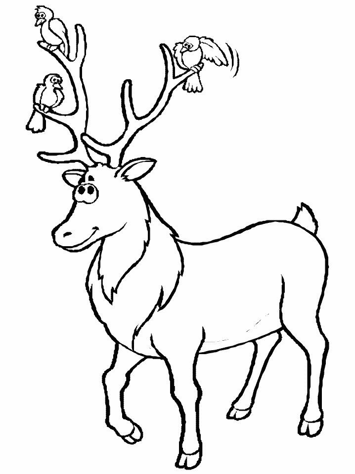 Coloring page: Deer (Animals) #2622 - Free Printable Coloring Pages