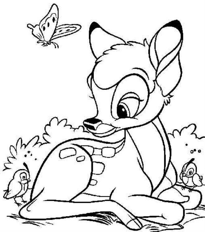 drawing deer 2624 animals printable coloring pages