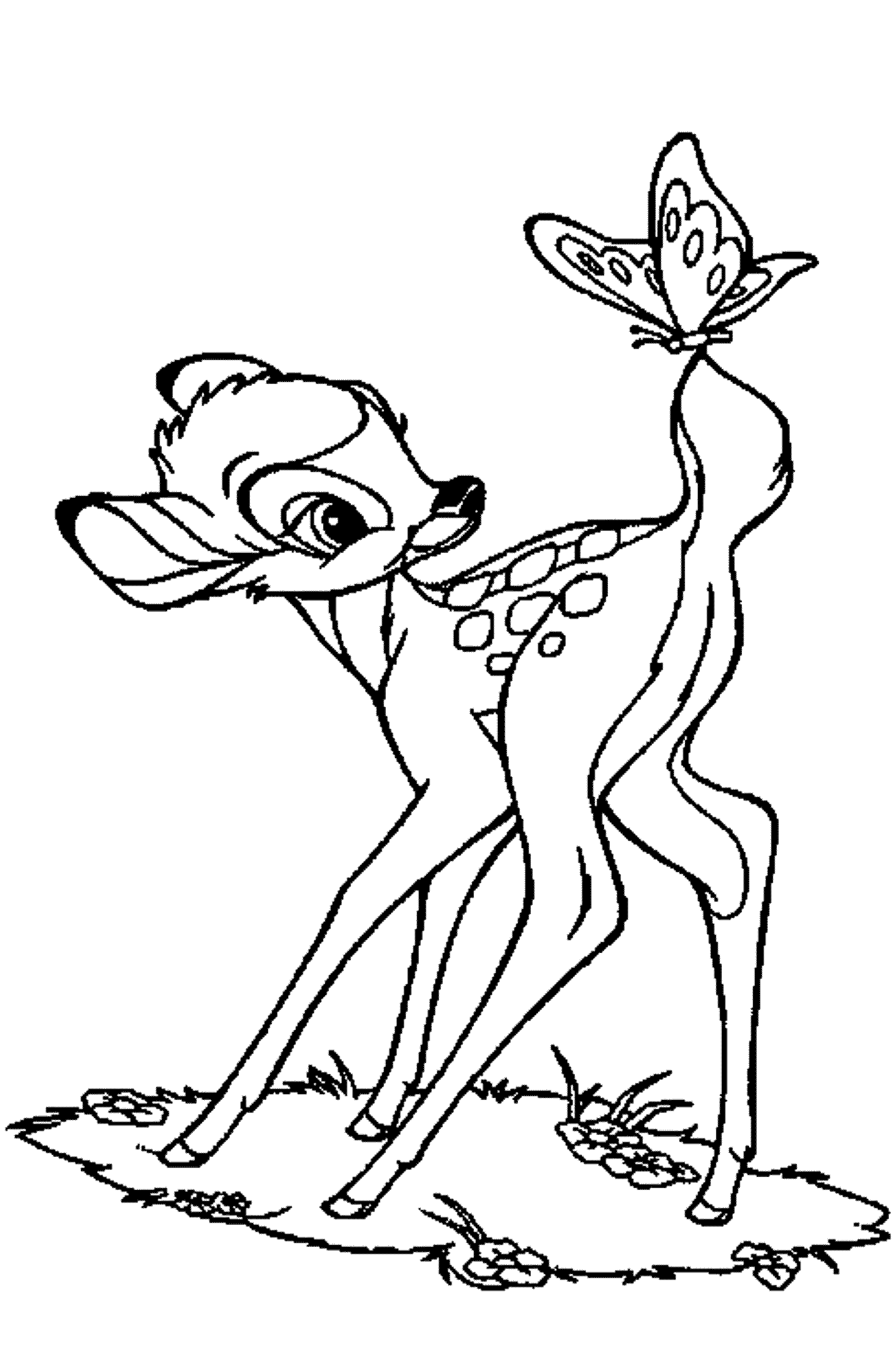 drawing deer 2625 animals printable coloring pages