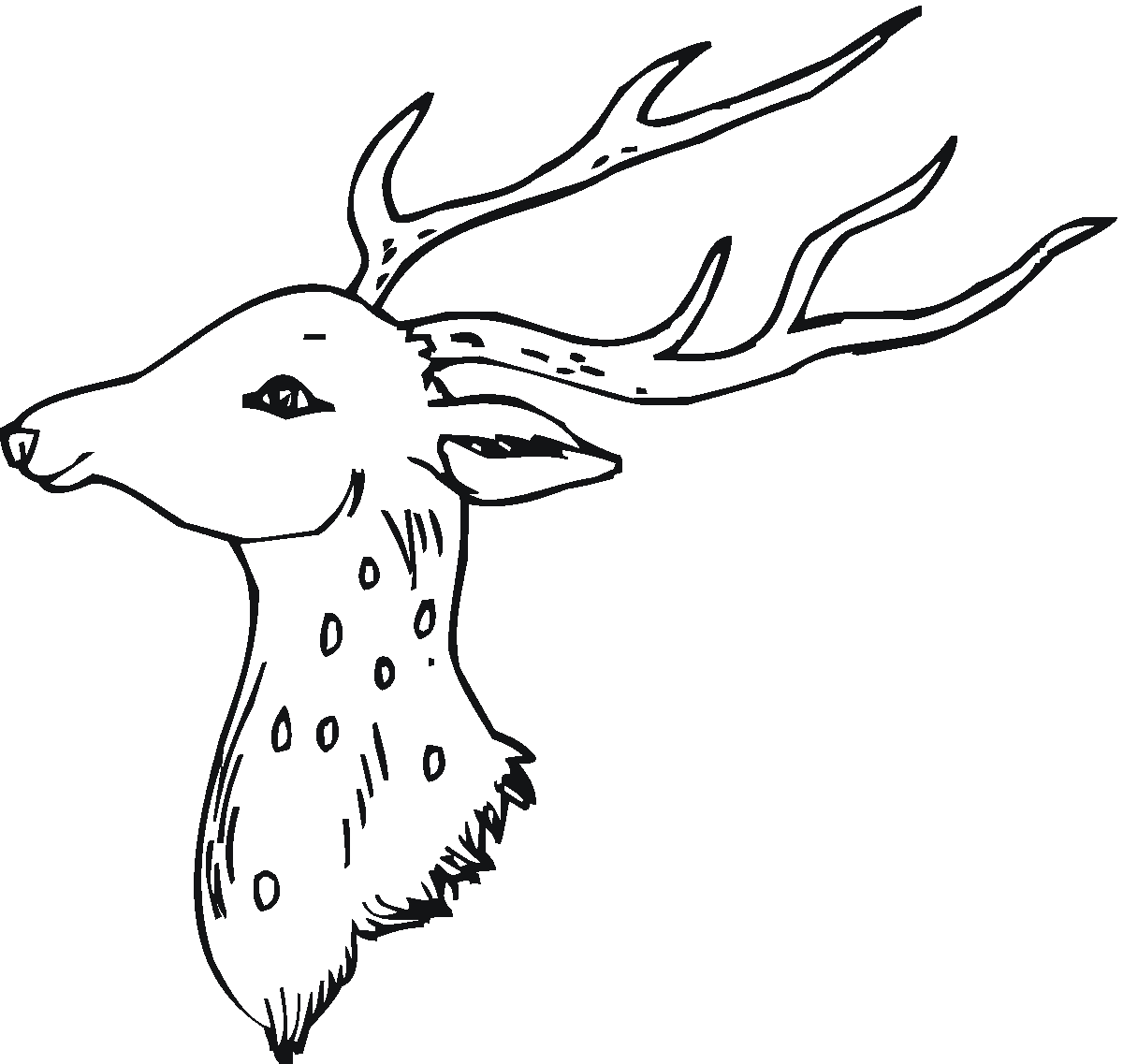 Coloring page: Deer (Animals) #2633 - Free Printable Coloring Pages