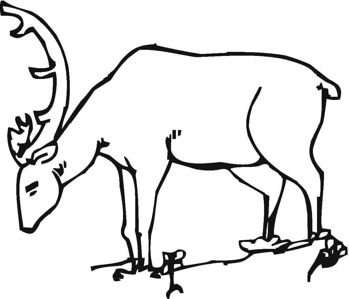 Coloring page: Deer (Animals) #2636 - Free Printable Coloring Pages