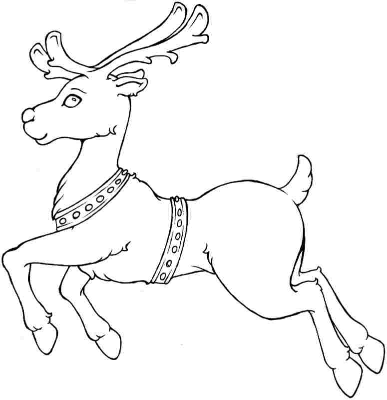 Coloring page: Deer (Animals) #2643 - Printable coloring pages