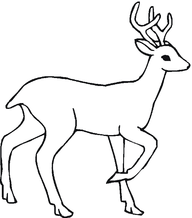 Coloring page: Deer (Animals) #2645 - Printable coloring pages