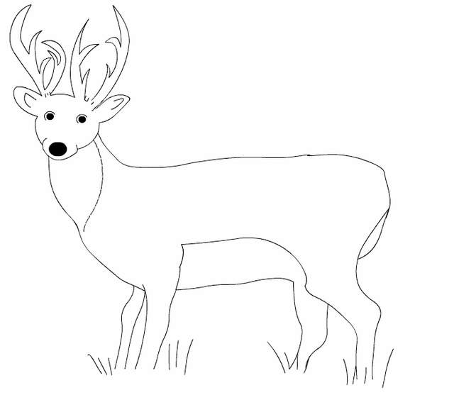 Coloring page: Deer (Animals) #2646 - Free Printable Coloring Pages