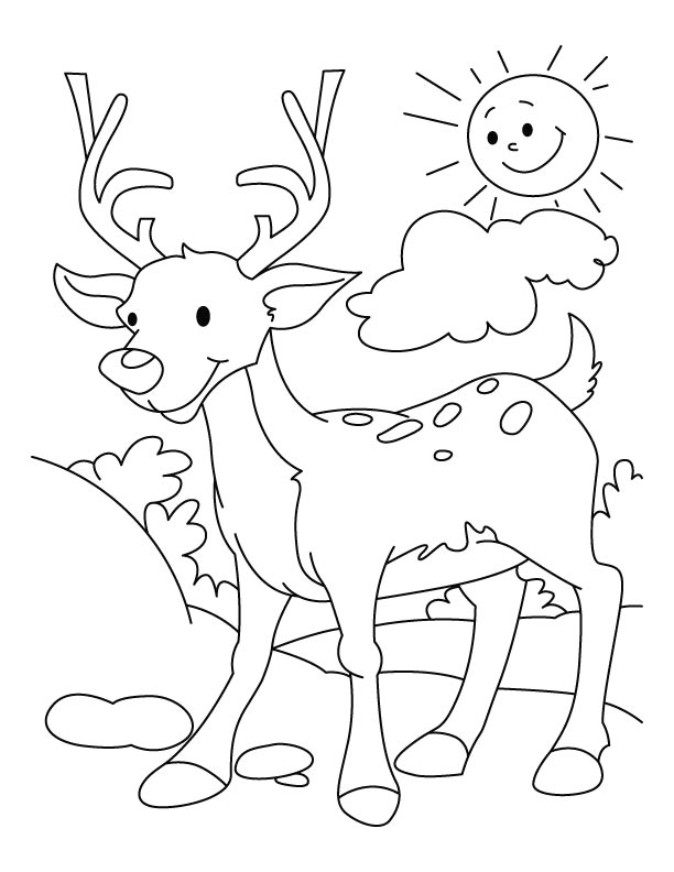 Coloring page: Deer (Animals) #2651 - Free Printable Coloring Pages