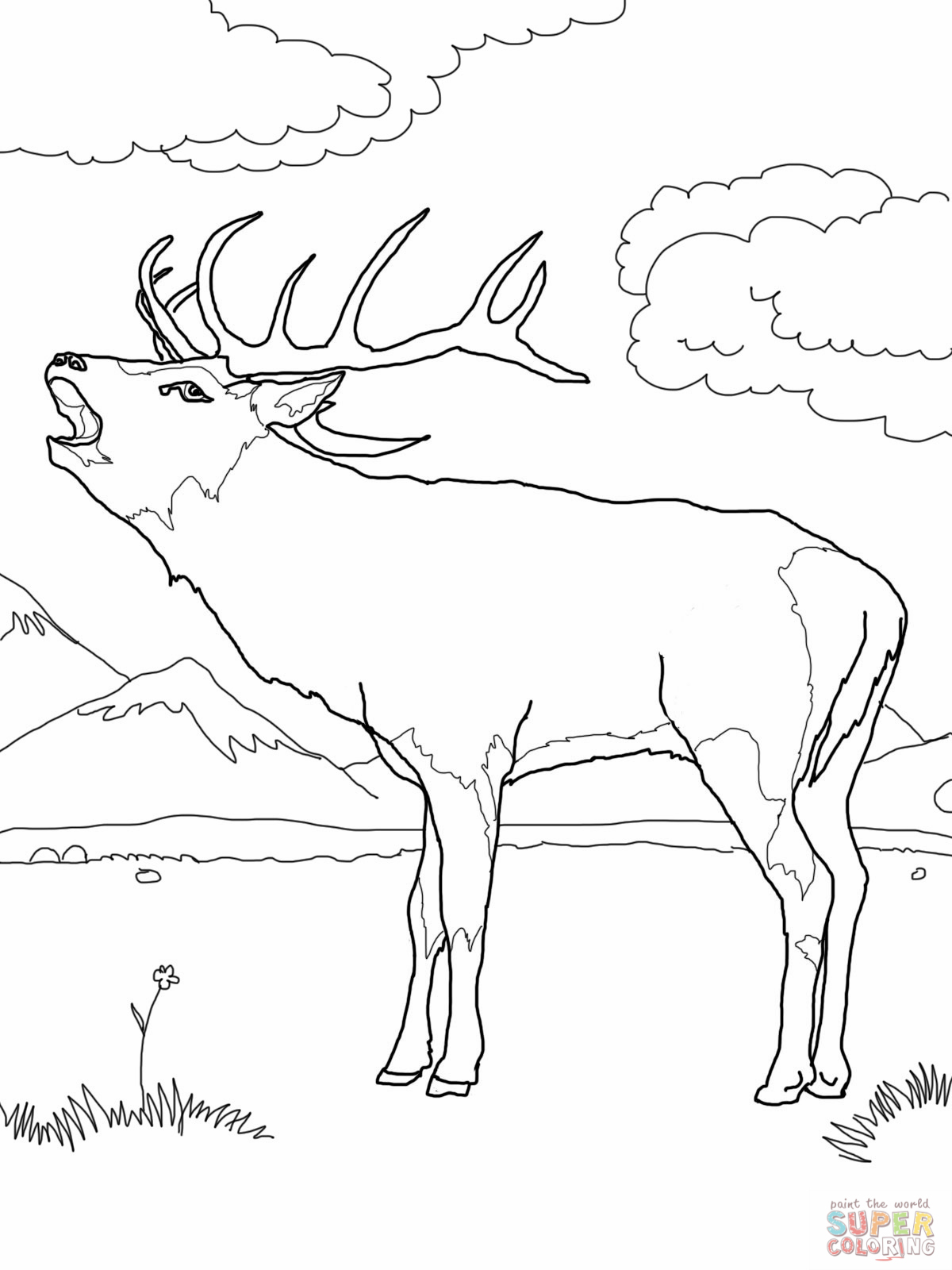 Coloring page: Deer (Animals) #2653 - Free Printable Coloring Pages