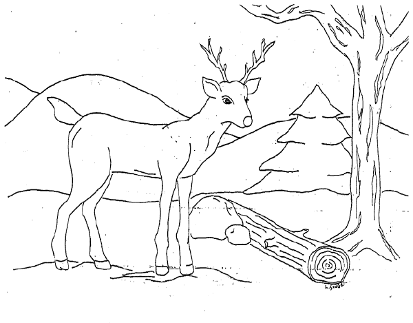 Coloring page: Deer (Animals) #2658 - Free Printable Coloring Pages