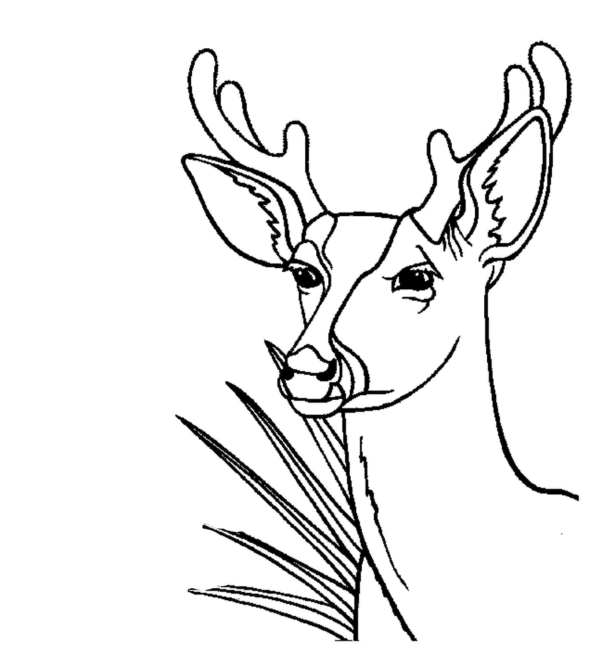 Coloring page: Deer (Animals) #2660 - Free Printable Coloring Pages