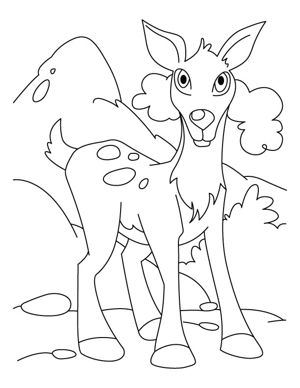 Coloring page: Deer (Animals) #2674 - Free Printable Coloring Pages