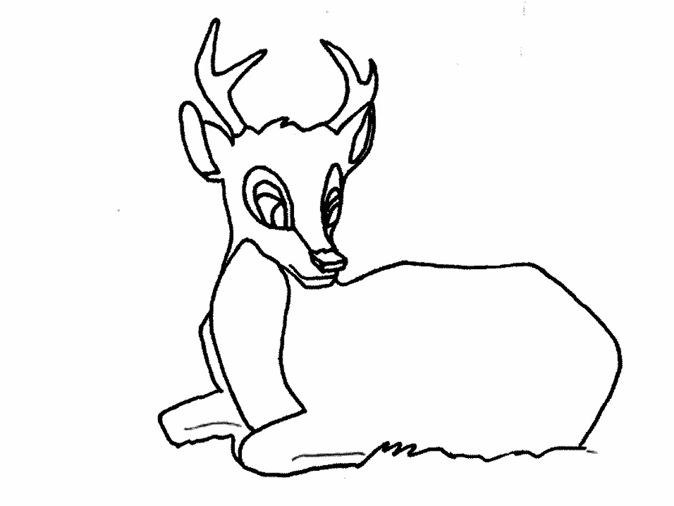 Coloring page: Deer (Animals) #2677 - Free Printable Coloring Pages