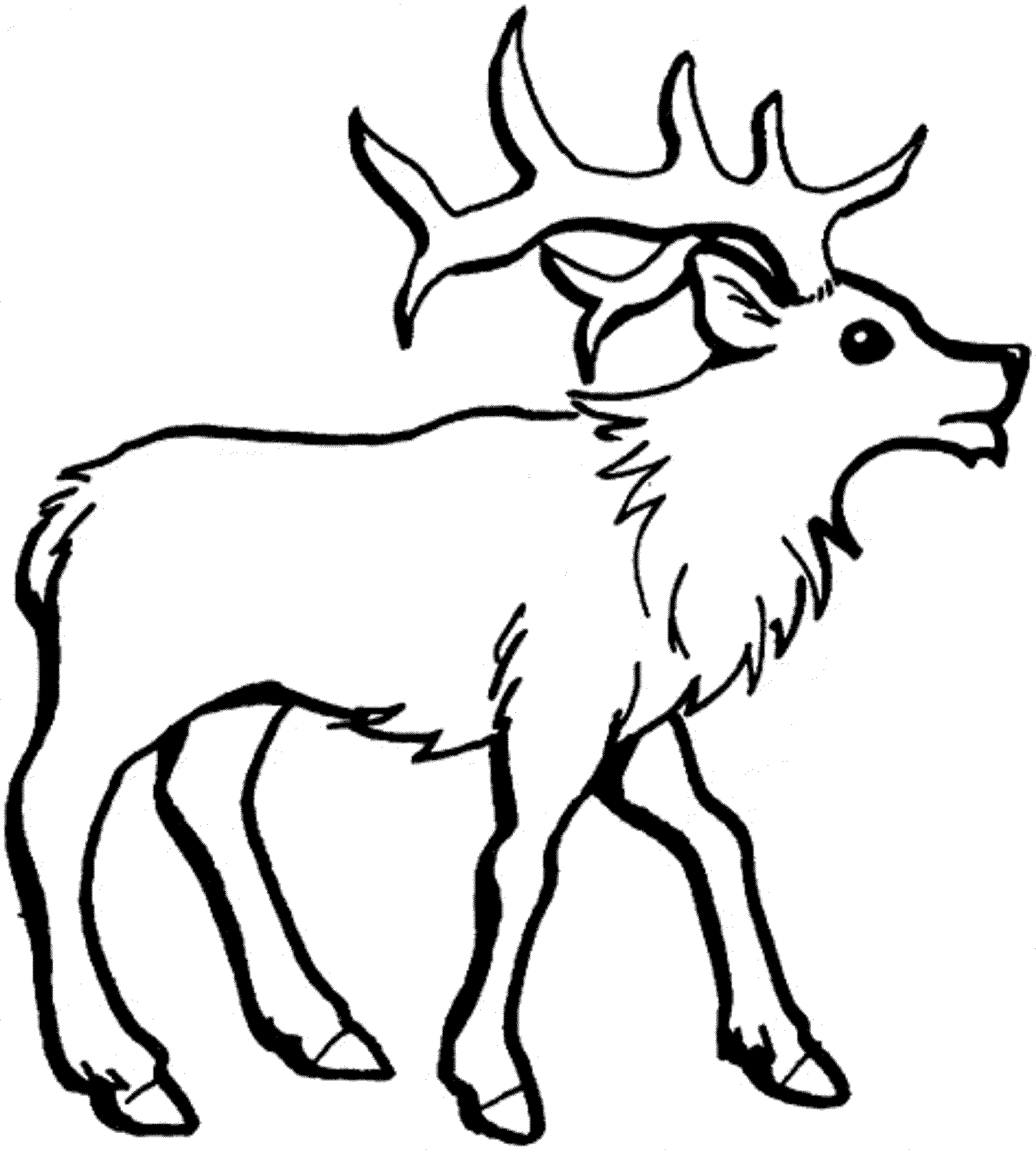 Drawing Deer 20 Animals – Printable coloring pages