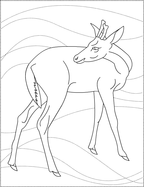 Coloring page: Deer (Animals) #2685 - Printable coloring pages