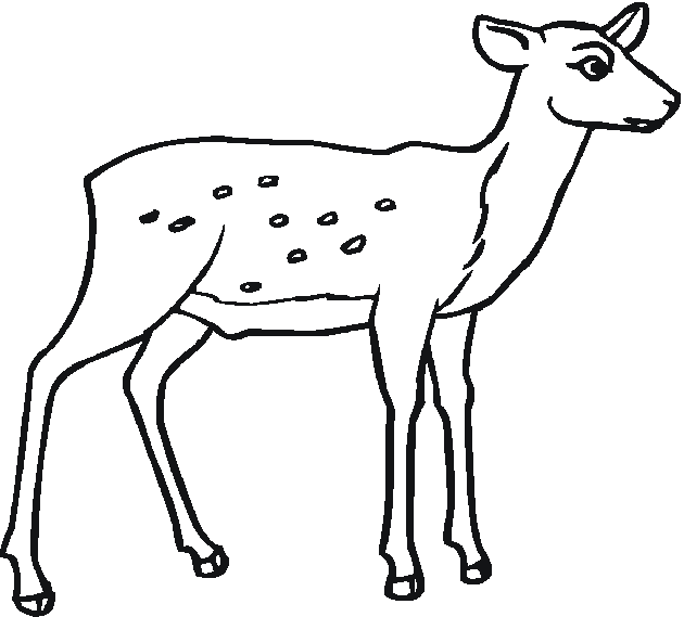 Coloring page: Deer (Animals) #2689 - Free Printable Coloring Pages
