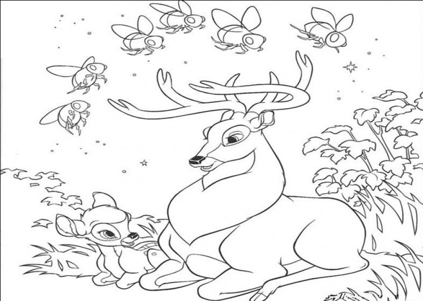 Drawing Deer 2698 Animals Printable Coloring Pages