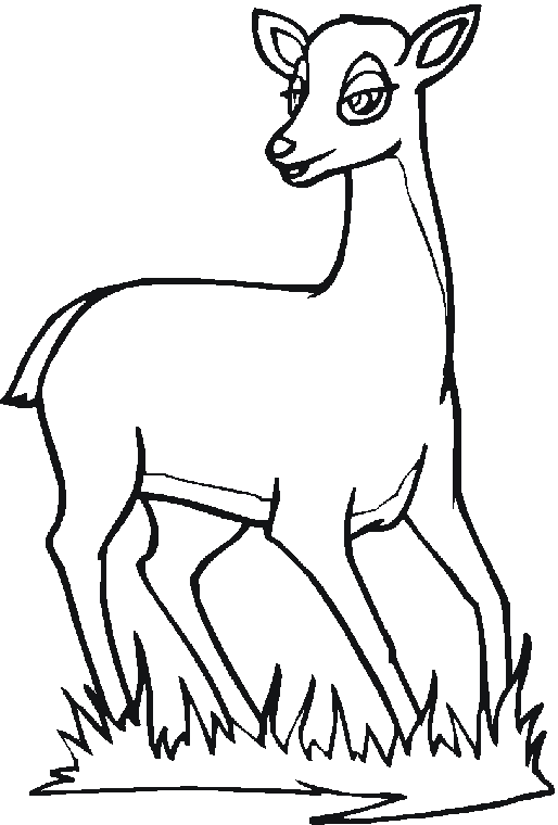 Coloring page: Deer (Animals) #2713 - Free Printable Coloring Pages