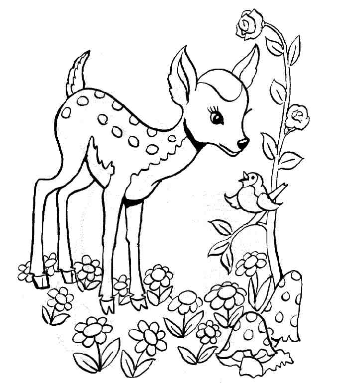 Coloring page: Deer (Animals) #2723 - Printable coloring pages