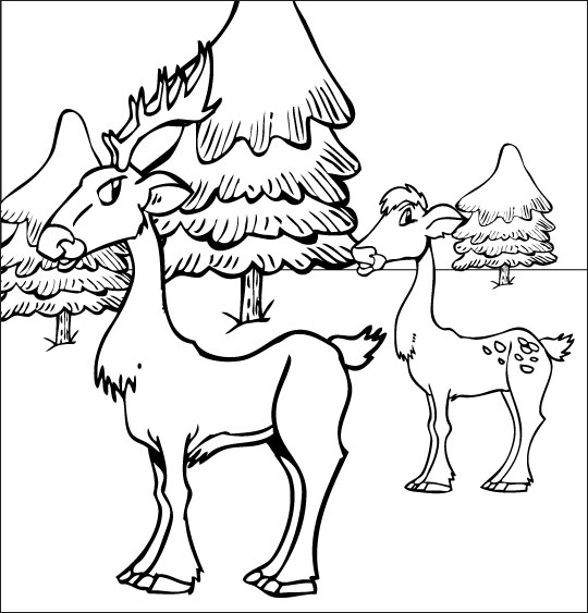 Coloring page: Deer (Animals) #2729 - Free Printable Coloring Pages