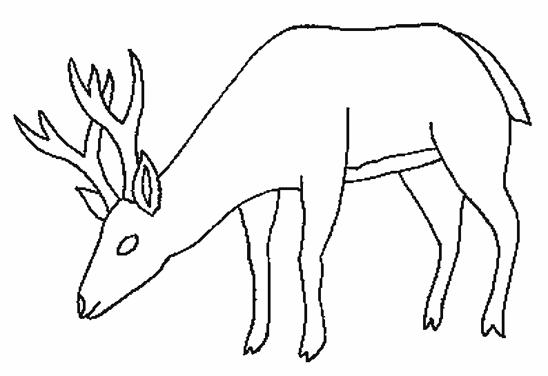 Coloring page: Deer (Animals) #2732 - Free Printable Coloring Pages