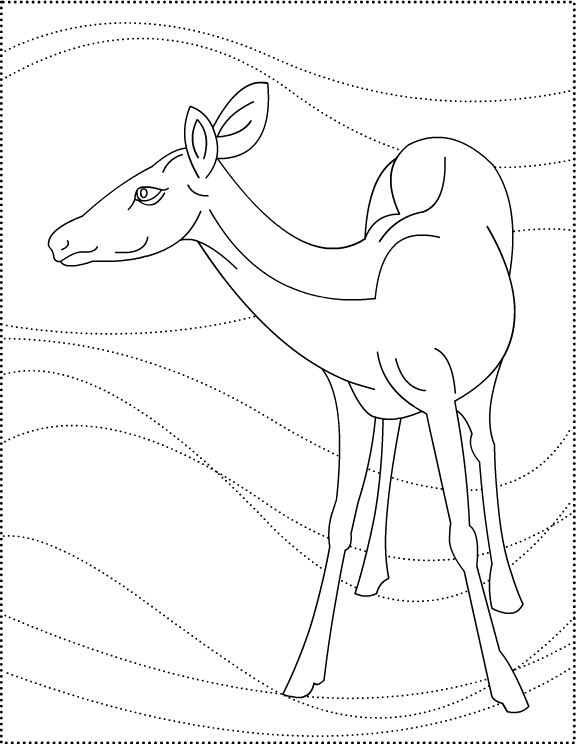 Coloring page: Deer (Animals) #2734 - Free Printable Coloring Pages