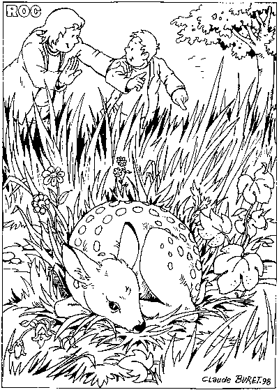 Coloring page: Deer (Animals) #2743 - Printable coloring pages