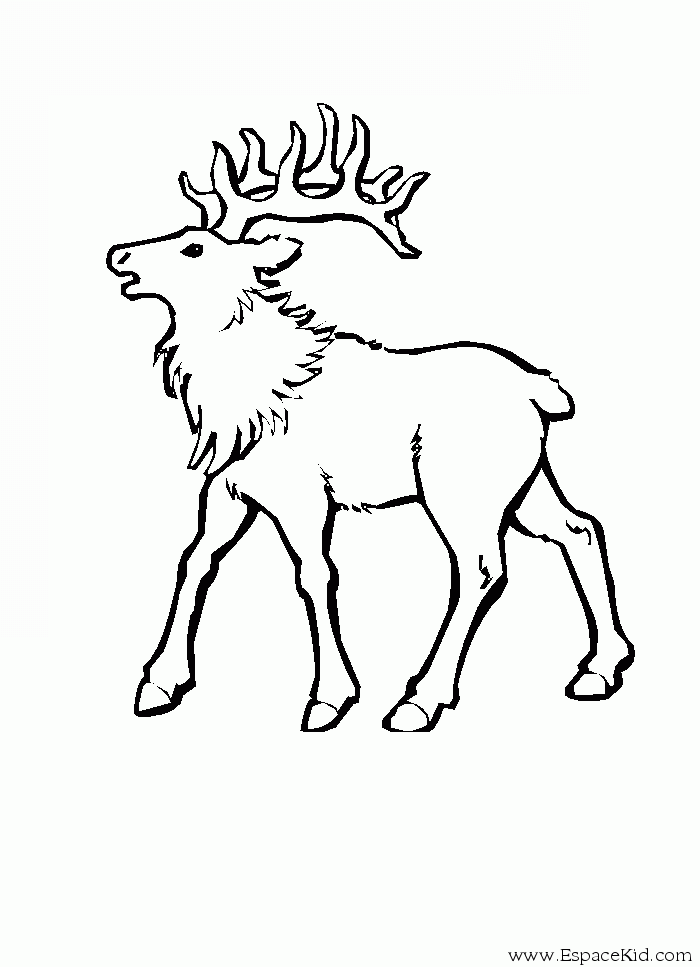 Coloring page: Deer (Animals) #2747 - Free Printable Coloring Pages