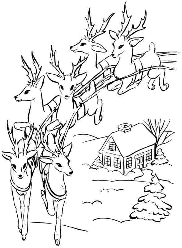 Coloring page: Deer (Animals) #2748 - Free Printable Coloring Pages